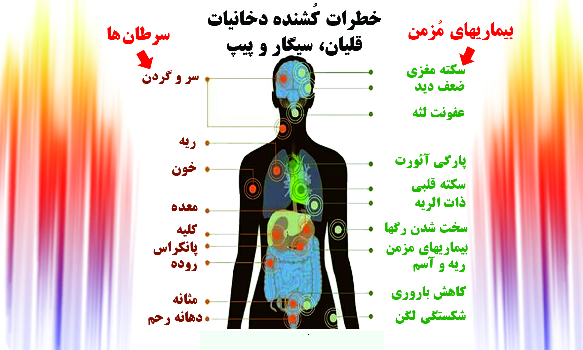 سیگار کشیدن چه نوع سرطانی را در بدن ایجاد می کند؟